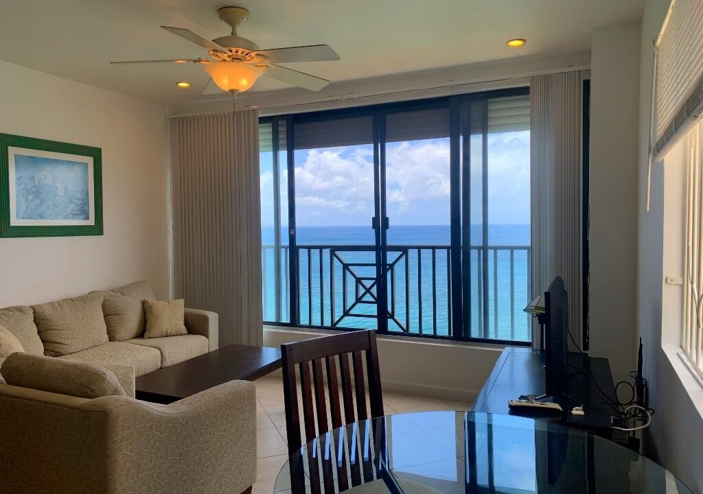 Vista-Villas-Small-1-Bed-1-Bath-Cliff-Top-Condo-Student-Rentals-Living-area