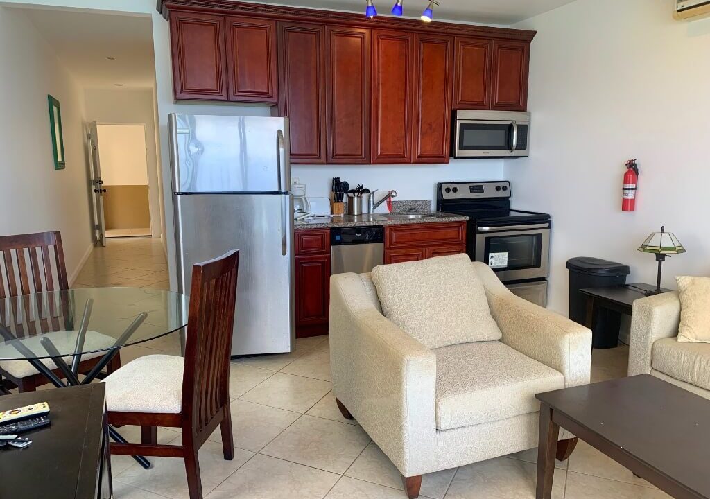 Vista-Villas-Small-1-Bed-1-Bath-Cliff-Top-Condo-Student-Rentals-Living-area-2